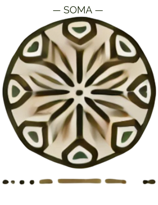 Soma herb